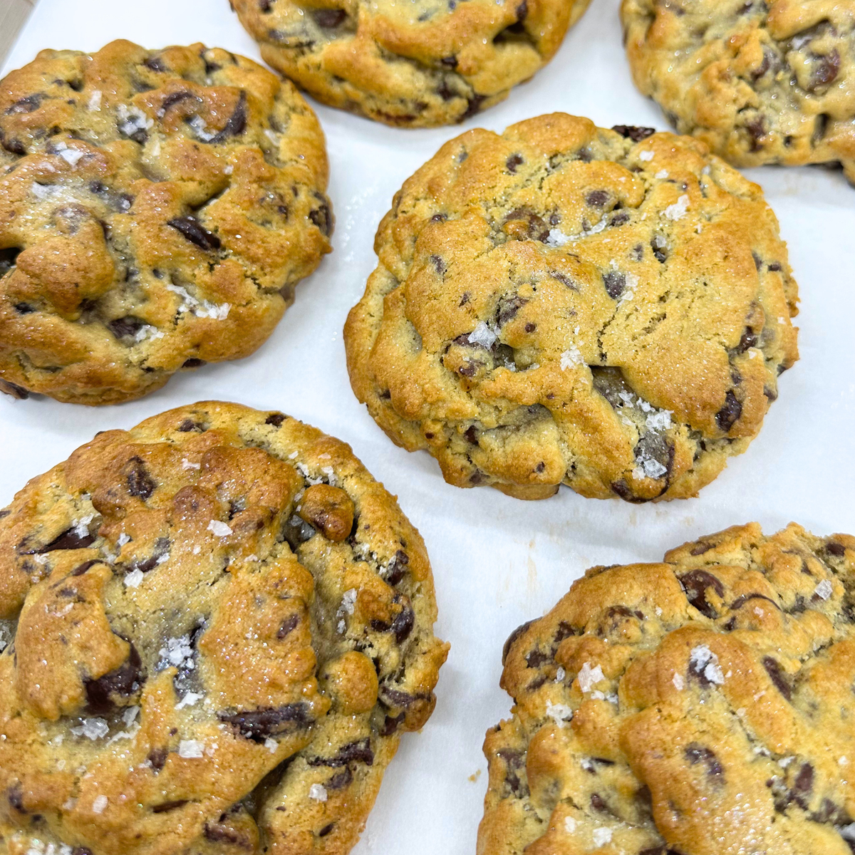 All Chocolate Chip
