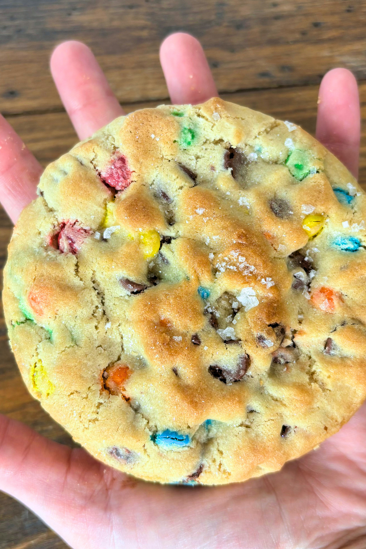 Chaos & Crumbs 6-pack